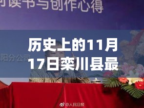 历史上的11月17日栾川县最新领导班子深度解析与测评报告