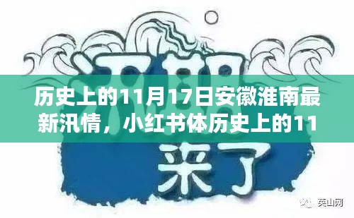 历史上的11月17日安徽淮南汛情揭秘，最新汛情概览