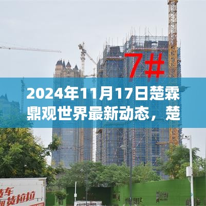 楚霖鼎观世界深度洞察，最新动态与趋势分析（2024年11月）