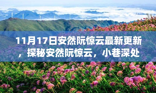 安然阮惊云最新探访笔记，小巷深处的独特风味揭秘