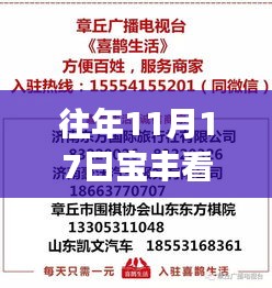 往年11月17日宝丰看守所深度揭秘，内部最新消息与背后故事曝光！