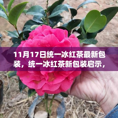 统一冰红茶新包装启示，变化中的学习与成就感的源泉