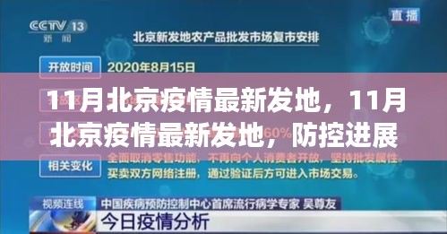 北京疫情最新动态，防控进展、数据解读与案例分析（11月版）