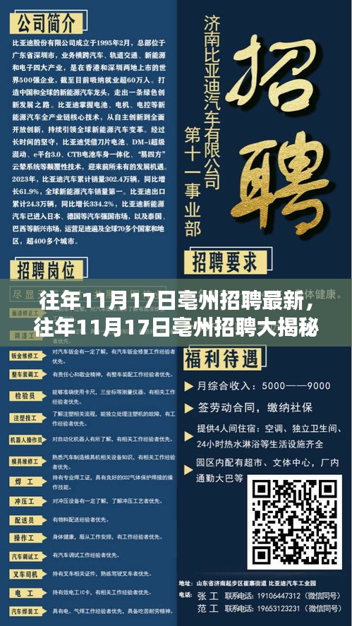 揭秘往年11月17日亳州招聘内幕，最新职位等你来挑战！