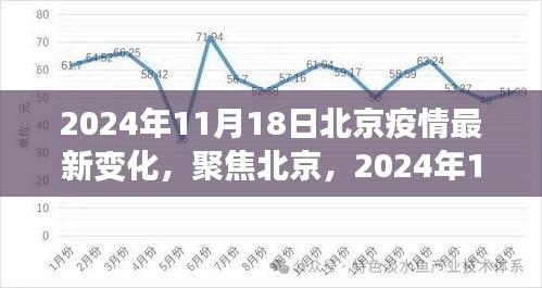 北京疫情最新动态解析，聚焦深度变化，关注疫情进展报告（2024年11月18日）