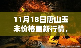 探秘唐山玉米宝藏，最新行情与特色小店的奇妙之旅