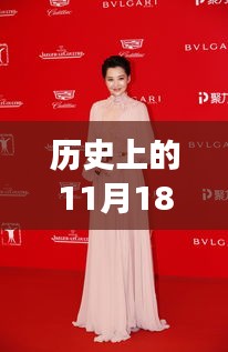 探寻最新裙褂时尚演变之旅，历史上的11月18日回顾与前瞻