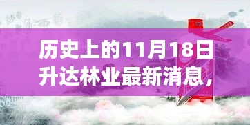 历史上的11月18日升达林业最新发展动态概览