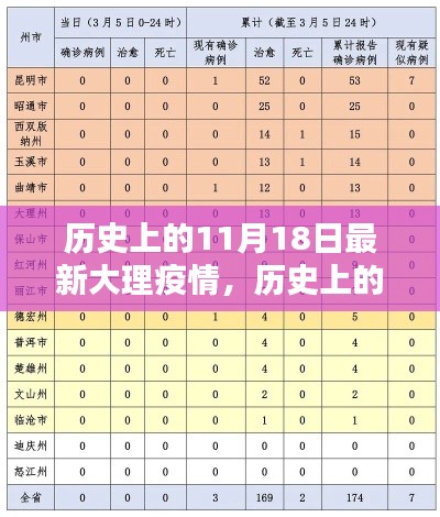 历史上的11月18日大理疫情最新概况与应对策略