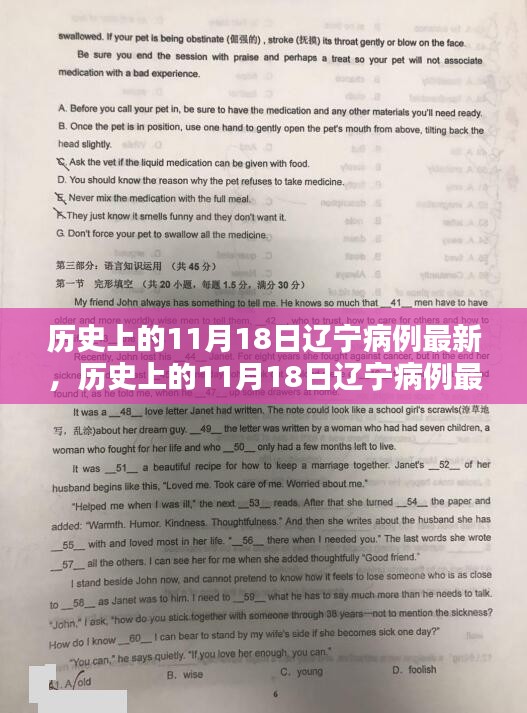 历史上的11月18日辽宁病例深度分析与最新评测