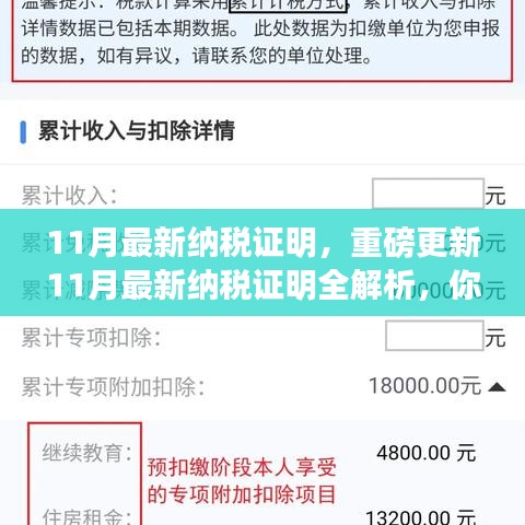 11月最新纳税证明全解析，纳税记录一目了然