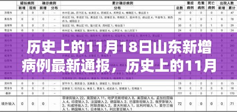 历史上的11月18日山东新增病例最新通报，深度分析与评估