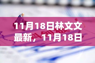 揭秘林文文新动态，最新资讯与热点聚焦（11月18日更新）