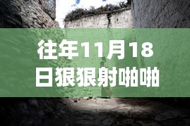 往年11月18日狠狠射啪啪射最新网站，建议，探秘小巷深处的独特小店，一场隐藏的美食之旅