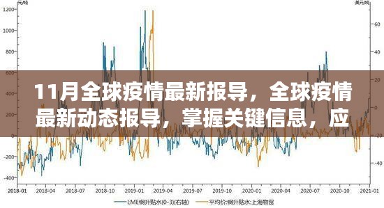 全球疫情最新动态与应对指南，掌握关键信息，挑战疫情的步骤报告