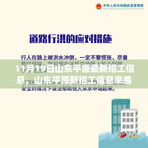 山东平原最新招工信息发布，抓住学习变化与机遇，成就美好未来！