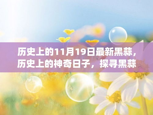 探寻黑蒜历史之旅，神奇日子下的心灵对话与最新黑蒜探寻