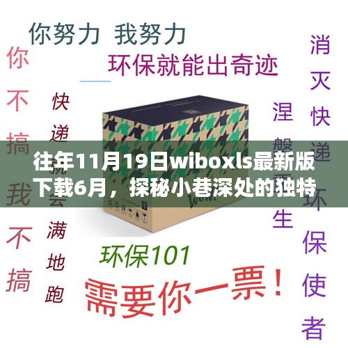 探秘小巷深处的独特风味，六月新发现wiboxls特色小店等你来探索