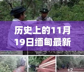 缅甸历史重要时刻，新篇章下的变革与自我提升之旅的抓捕行动纪实（11月19日）