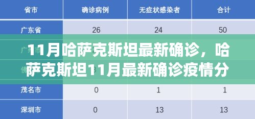 哈萨克斯坦11月最新疫情确诊分析，挑战、观点碰撞与疫情态势