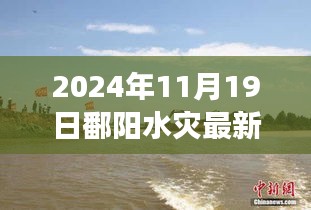 2024年11月19日鄱阳水灾最新进展与深度解读