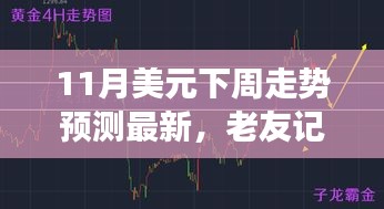 11月美元走势预测，老友记般的货币之旅