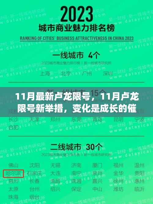 11月卢龙限号新变化，成长催化剂助力自信与成就探寻之路