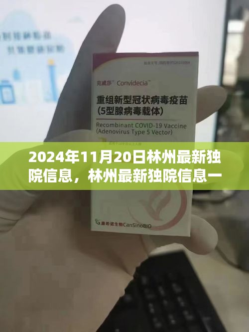 林州最新独院信息探索理想居所指南（2024年11月版）