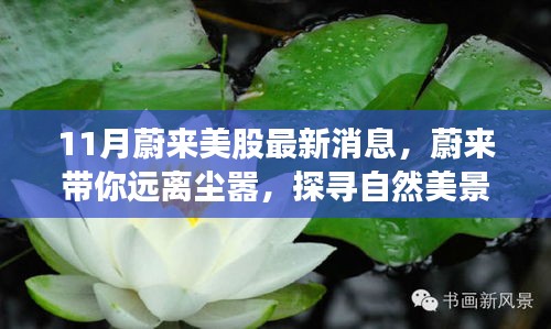 蔚来探寻自然美景背后的心灵之旅，11月美股新动态与蔚来最新消息温暖相伴