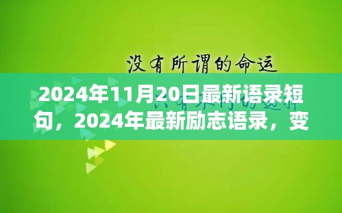 变化中的学习，励志语录与自信成就感的魔法之旅（2024年11月最新更新）