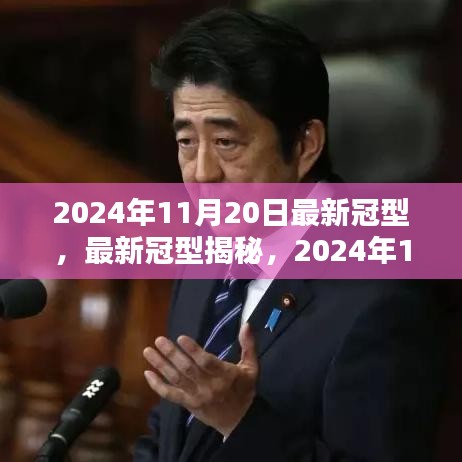 揭秘最新冠型，全球疫情动态与应对策略（2024年11月20日更新）