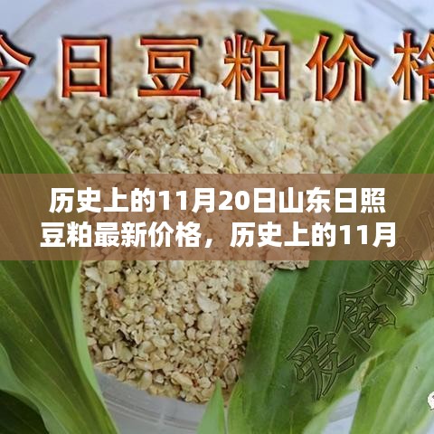 历史上的11月20日山东日照豆粕价格概览与最新市场分析