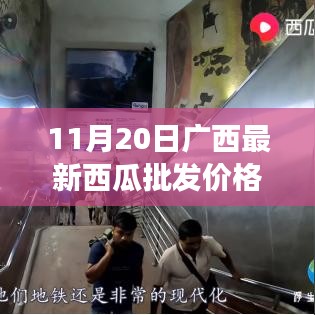 广西西瓜最新批发价格及自然美景探寻之旅