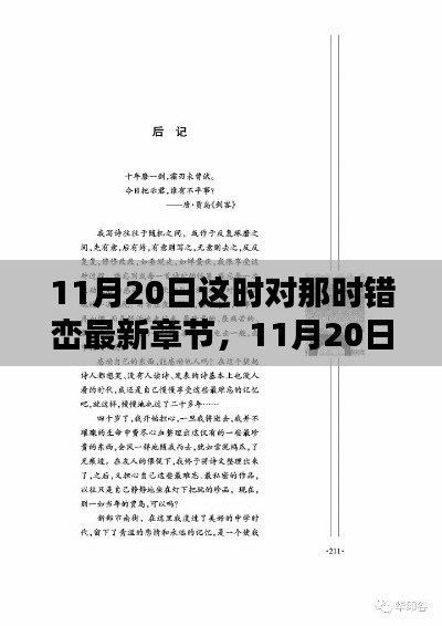 11月20日这时对那时错峦最新章节深度解析与感悟