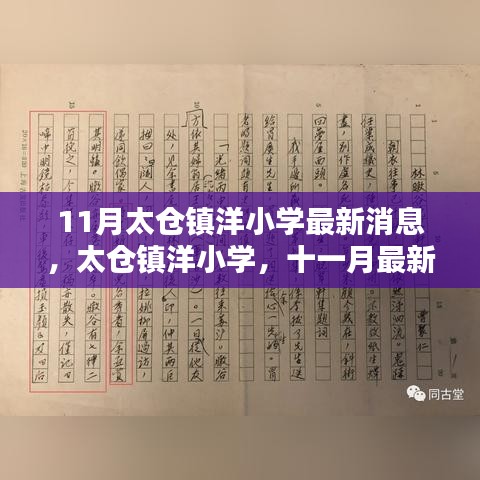 太仓镇洋小学十一月最新消息深度解析