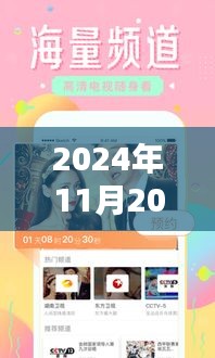 2024年11月最新版avmoo域名解析与探讨