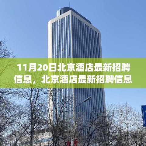 北京酒店最新招聘信息全攻略，从零基础到成功求职的每一步指引（11月20日更新）