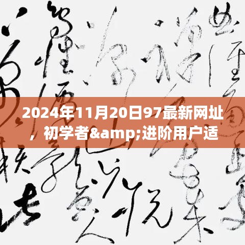 最新网址指南，初学者与进阶用户如何访问最新网址（适用于2024年）