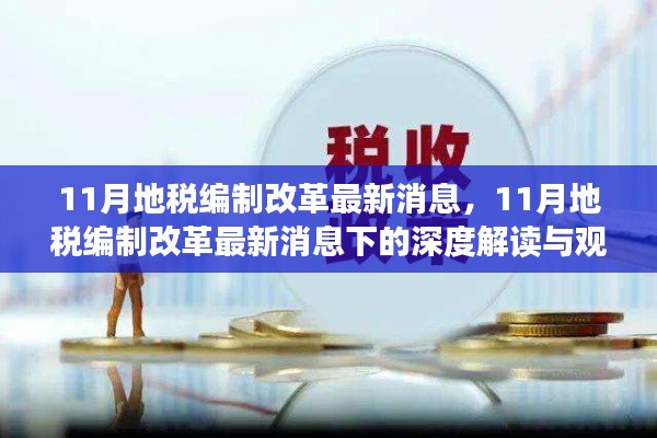 11月地税编制改革最新动态，深度解读与观点碰撞