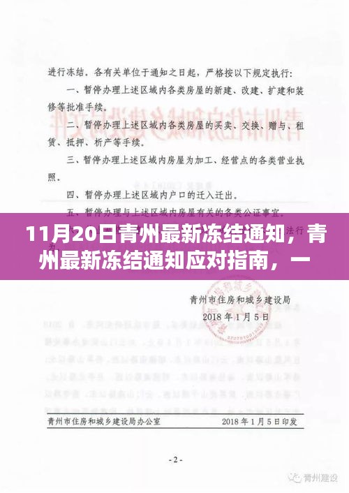 青州最新冻结通知应对指南，如何应对与操作冻结风险？