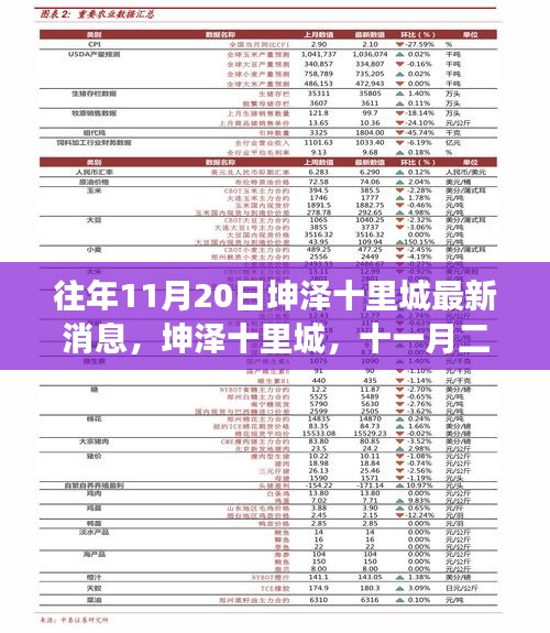 坤泽十里城十一月二十日时光印记，最新进展与消息速递