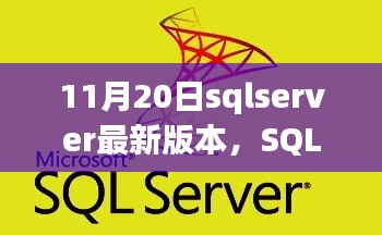 11月20日sqlserver最新版本，SQL Server升级日，温馨友谊的见证时刻