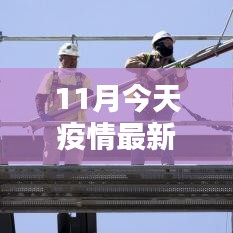 11月国内最新疫情数据报告，动态分析与聚焦要点