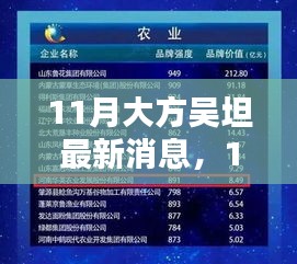 11月大方吴坦最新消息全面解析，特性、体验、竞品对比及用户群体深度分析