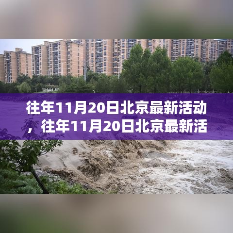 北京往年11月20日最新活动深度解析与观点阐述，精彩瞬间一网打尽！