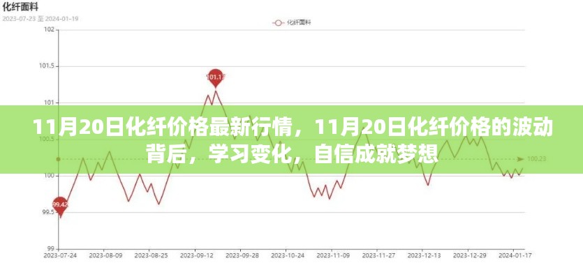 11月20日化纖价格最新动态，波动背后的学习变化与追梦自信