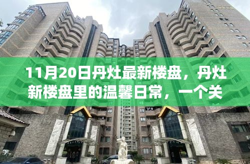 丹灶新楼盘的温馨日常，友情与家的故事在丹灶上演