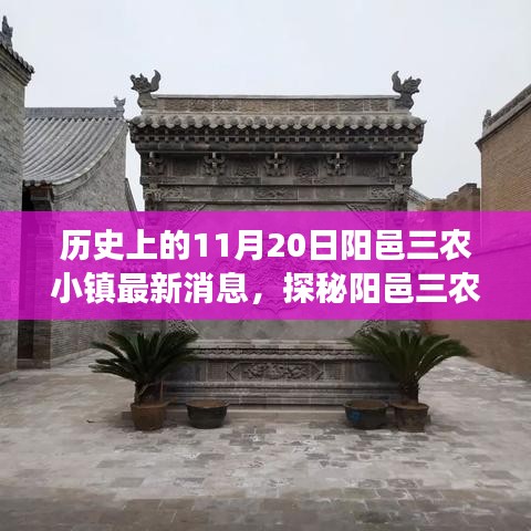 探秘阳邑三农小镇，历史与美食交织的隐秘宝藏——最新消息与特色小店揭秘