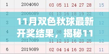 11月双色秋球最新开奖结果，揭秘11月双色秋球最新开奖结果——新手入门指南