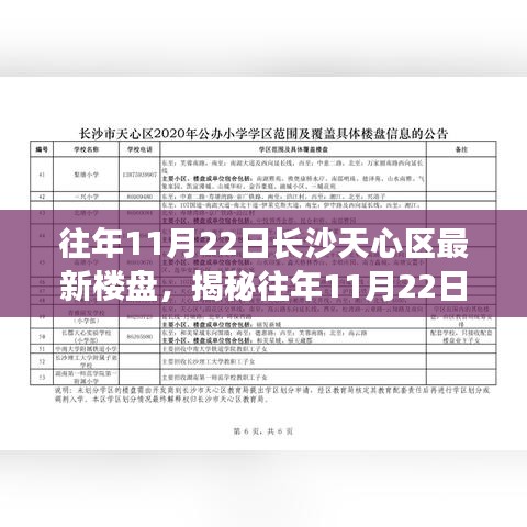 往年11月22日长沙天心区最新楼盘，揭秘往年11月22日长沙天心区最新楼盘，三大看点深度解读